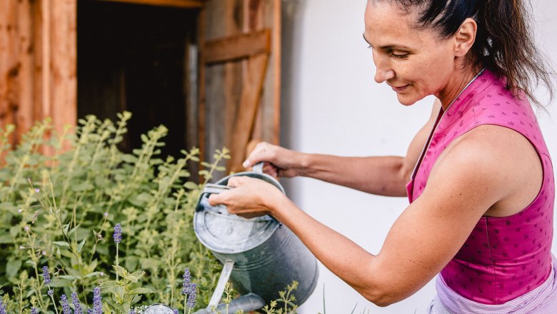 Nestelberg 17, © Sabine Wieser