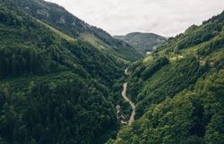 Die sanften Hügel und dichten Wälder um Ybbsitz laden zu unvergesslichen Wanderungen ein. Hier, wo die Natur in voller Pracht erblüht, können Besucher die Ruhe und Schönheit der Landschaft genießen. Ein verstecktes Paradies, das darauf wartet, entdeckt zu werden.