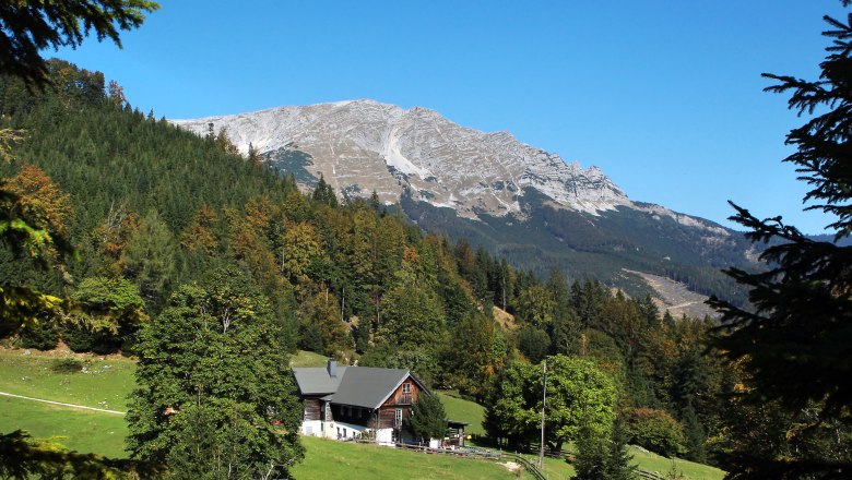 Berglandschaft im Naturpark Ötscher Tormäuer mit Wald und Hütte im Vordergrund.