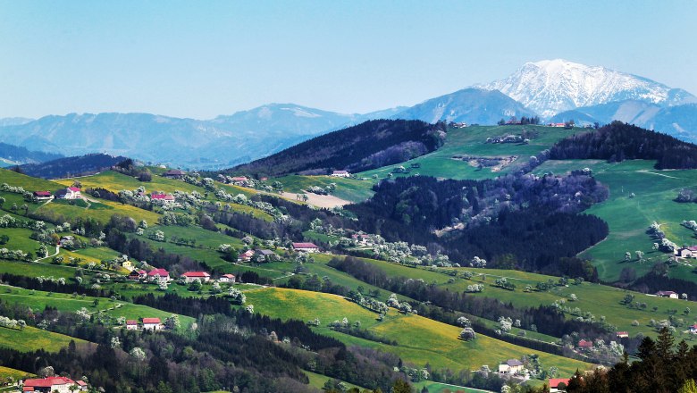 Kvetoucí krajina, © weinfranz.at