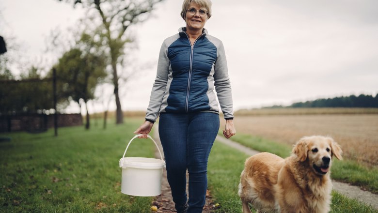 Pihringers Moststub'n, © Moststraße, dochbodnliacht