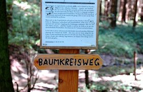 Beschreibung der Esche, &copy; Mostviertel