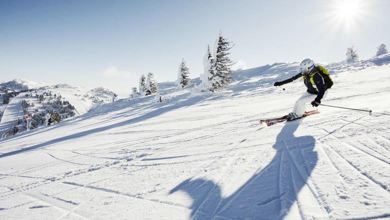 Von Anfänger bis Profi - die Pistenauswahl ist groß, © Andreas Jakwerth