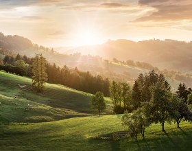Wundervolle Hügellandschaft an der Moststraße, © schwarz-koenig.at