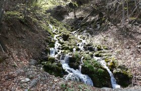 Wanderweg 7-5, &copy; Gerhard Hadinger