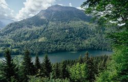 Blick vom Luchs Trail auf den Lunzer See und die bewaldeten Berge bei Lackenhof am Ötscher.