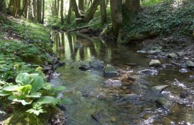 Rundwanderweg stilles Tal, &copy; Mostviertel