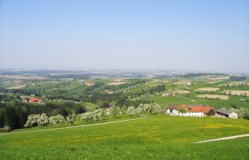Aussichtspunkt "Mostviertel-Blick", © Gemeinde Behamberg