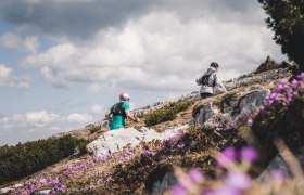 Prohl&iacute;dka vesnice Lackenhof, &copy; (C) Gerald Demolsky