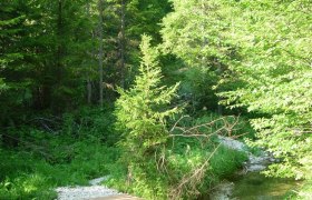 Bachweg, &copy; Mostviertel