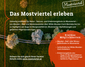 Mostviertel-Wertgutscheine, © Mostviertel Tourismus