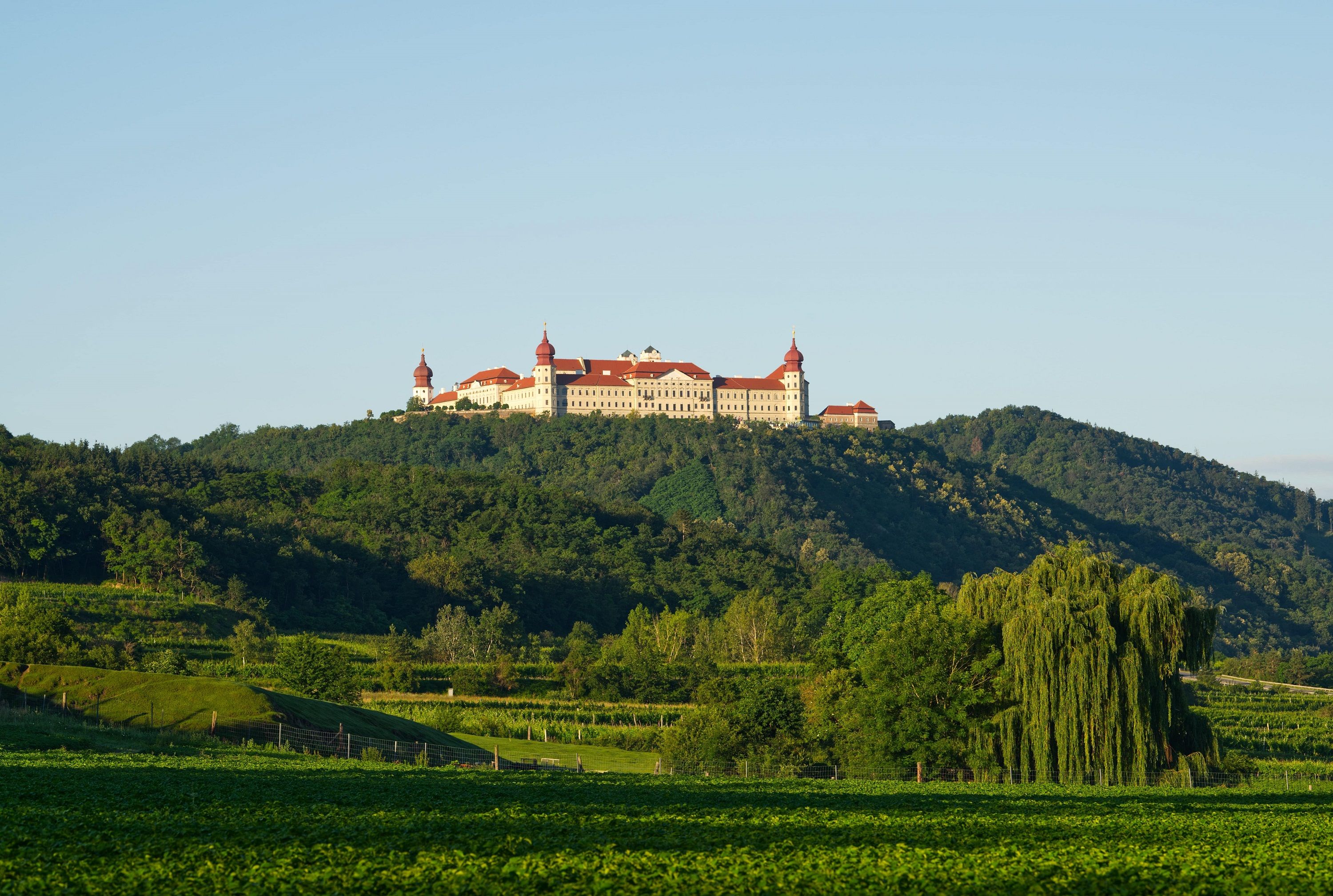 Blick auf das Stift Göttweig auf einem bewaldeten Hügel.