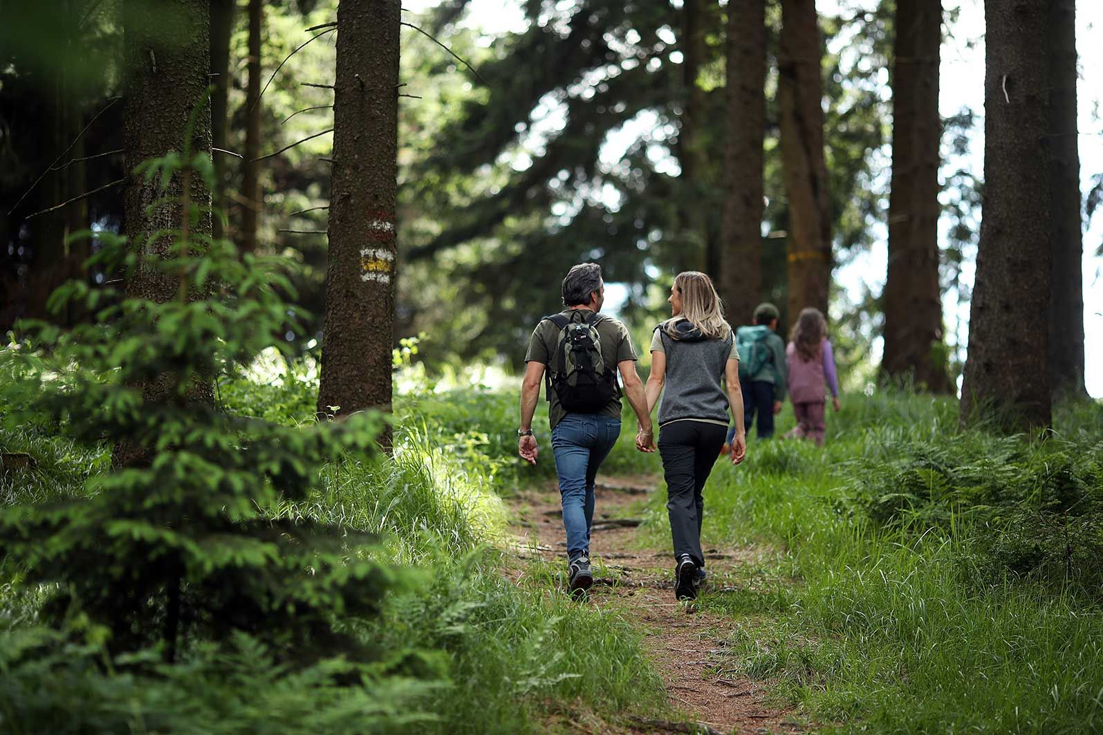 Eine Familie ist von hinten zu sehen, wie sie auf einem Trampelpfad durch den Fichtenwald wandert. auf einem Baumstamm ist eine Wandermarkierung zu sehen.