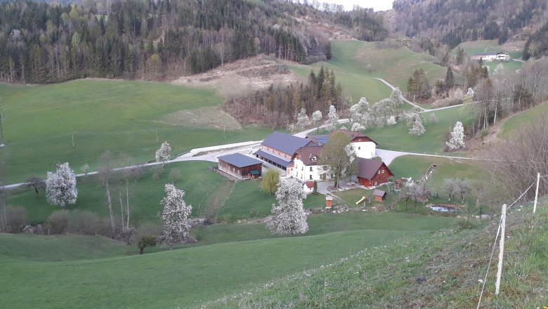 in the middle of green meadows, &copy; Andrea Kronsteiner