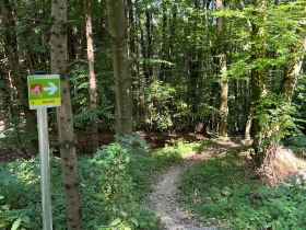 Pyhra Trail, &copy; MTB-Initiative St.P&ouml;lten