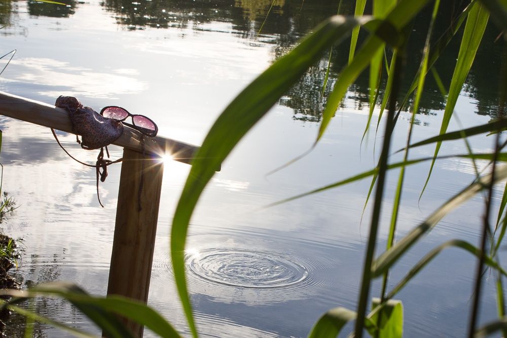 Ein Holzgeländer am Ufer eines Sees mit einer Sonnenbrille und einem Bikini darauf. Im Wasser sind kleine Wellen zu sehen, umgeben von Schilf.