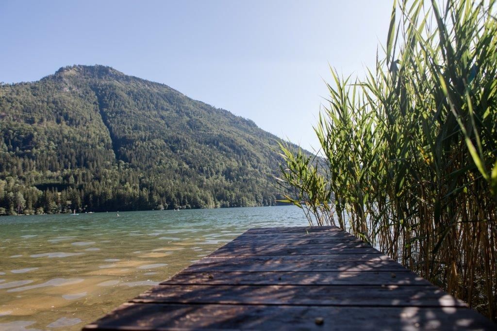 Ausblick auf den Lunzer See