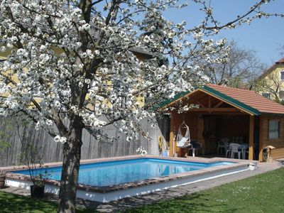 Ein blühender Baum neben einem Pool und einer Gartenhütte.