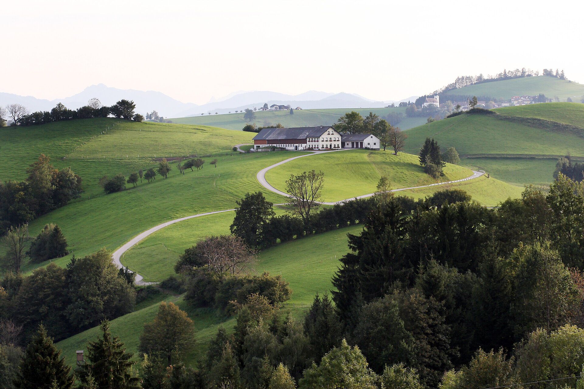Sanfte Hügel und üppige Wiesen erstrecken sich bis zum Horizont, während die sanfte Brise die Blätter der Bäume zum Flüstern bringt. Ein idyllischer Weg schlängelt sich durch die Landschaft und lädt dazu ein, die Schönheit der Natur zu erkunden. Hier, in dieser friedlichen Umgebung, wird jeder Schritt zu einem unvergesslichen Erlebnis.