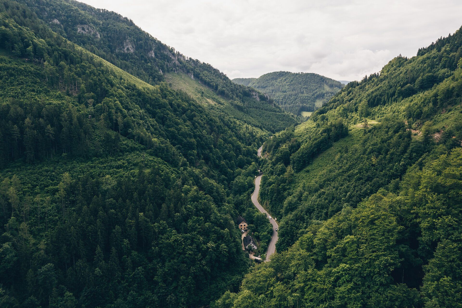 Die sanften Hügel und dichten Wälder um Ybbsitz laden zu unvergesslichen Wanderungen ein. Hier, wo die Natur in voller Pracht erblüht, können Besucher die Ruhe und Schönheit der Landschaft genießen. Ein verstecktes Paradies, das darauf wartet, entdeckt zu werden.