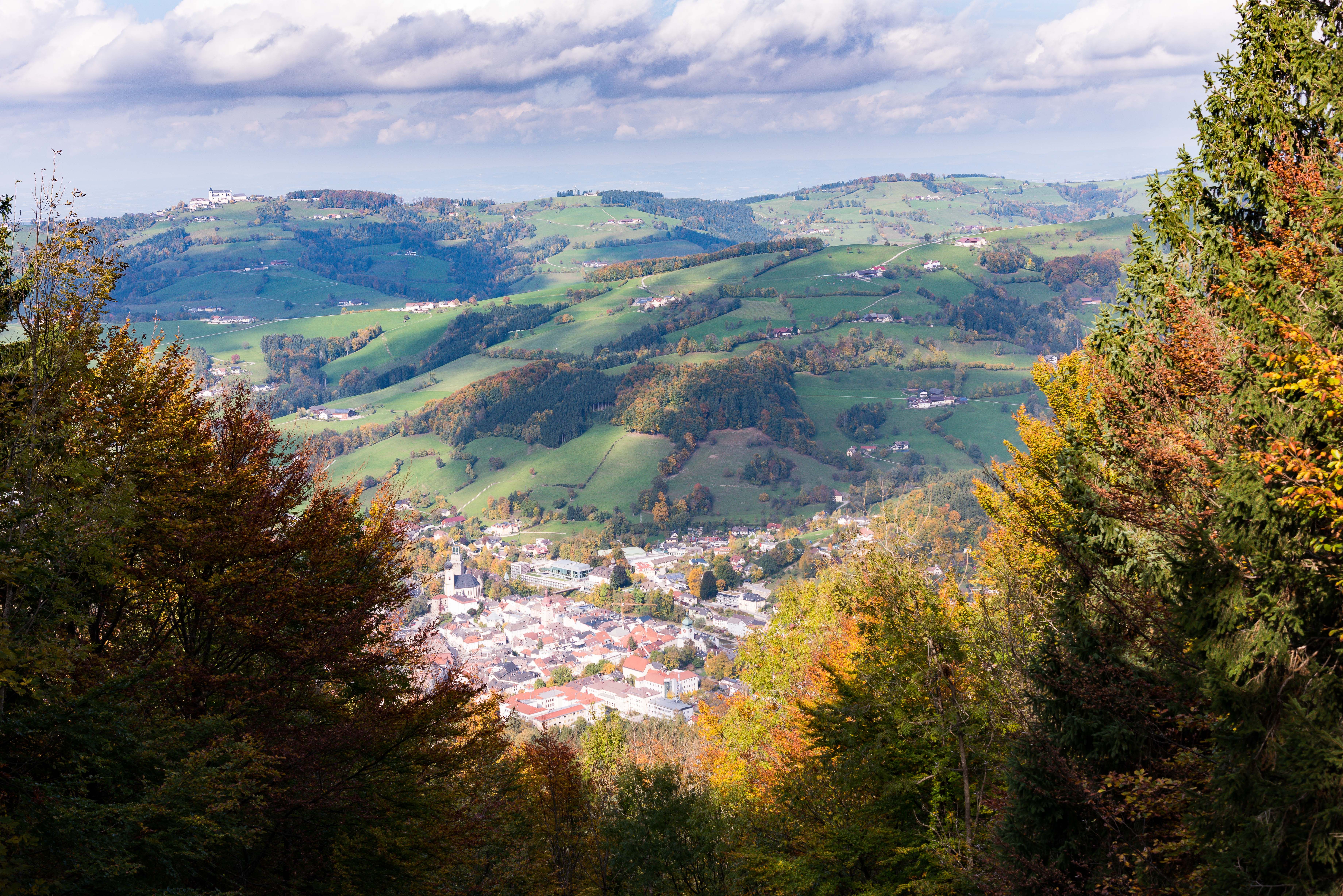 Buchenberg