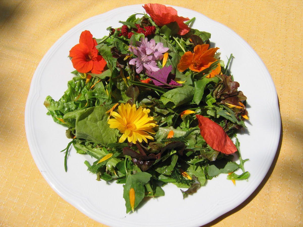 Ein Teller mit Wildkräutersalat und essbaren Blüten auf gelber Tischdecke.