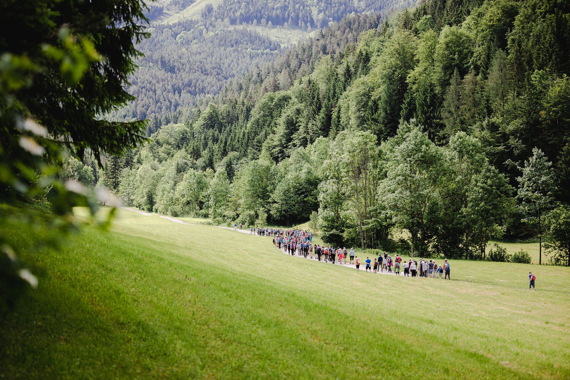 Eine Gruppe von Wanderern schlängelt sich durch die malerische Landschaft, umgeben von üppigem Grün und majestätischen Bergen. Die frische Bergluft und das Zwitschern der Vögel schaffen eine einladende Atmosphäre für Naturliebhaber und Abenteurer. Hier, wo die Natur in voller Pracht erblüht, wird jeder Schritt zu einem unvergesslichen Erlebnis.
