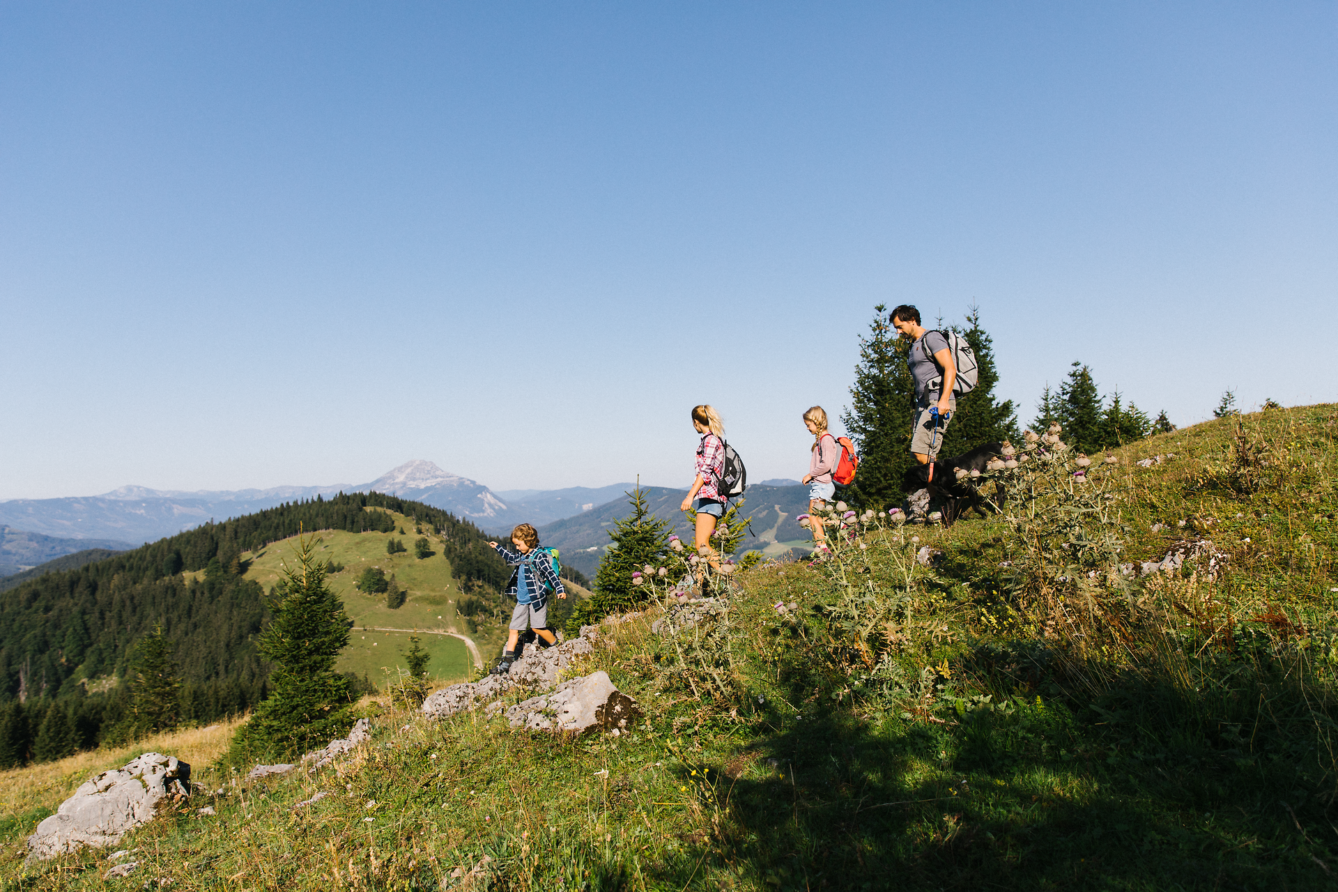 Eine fröhliche Familie erkundet die malerischen Hügel des Mostviertels, während ihr treuer Hund sie begleitet. Die klare Luft und die atemberaubenden Ausblicke auf die umliegenden Berge schaffen eine unvergessliche Wandererfahrung. Hier, wo die Natur in voller Blüte steht, wird jeder Schritt zum Abenteuer.