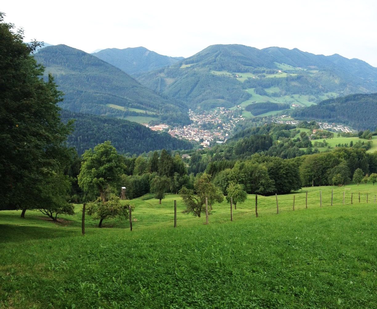 Blick von der Gschnaider Höhe auf eine grüne Landschaft mit Bergen und einem Dorf im Tal.