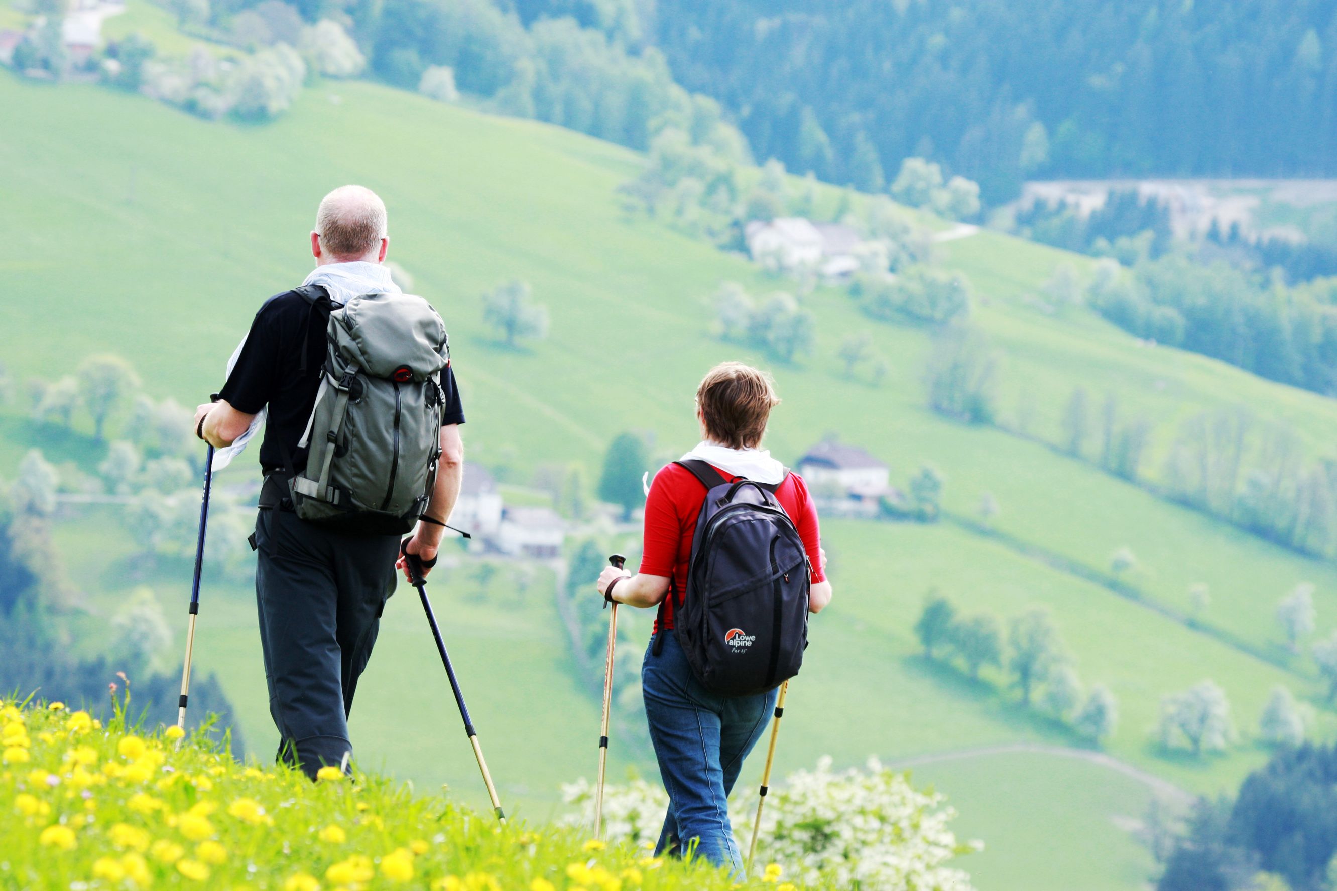 Zwei Wanderer mit Rucksäcken und Wanderstöcken auf einer grünen Wiese mit gelben Blumen, im Hintergrund eine hügelige Landschaft.