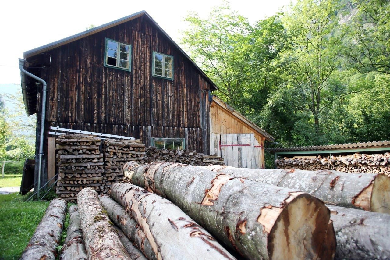 Holzstapel und Baumstämme vor einem rustikalen Holzgebäude im Freien.