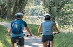Zwei Radfahrende auf einem Radweg, der von Bäumen gesäumt ist.