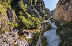 Wanderpfad über der Schlucht in den Ötschergräben