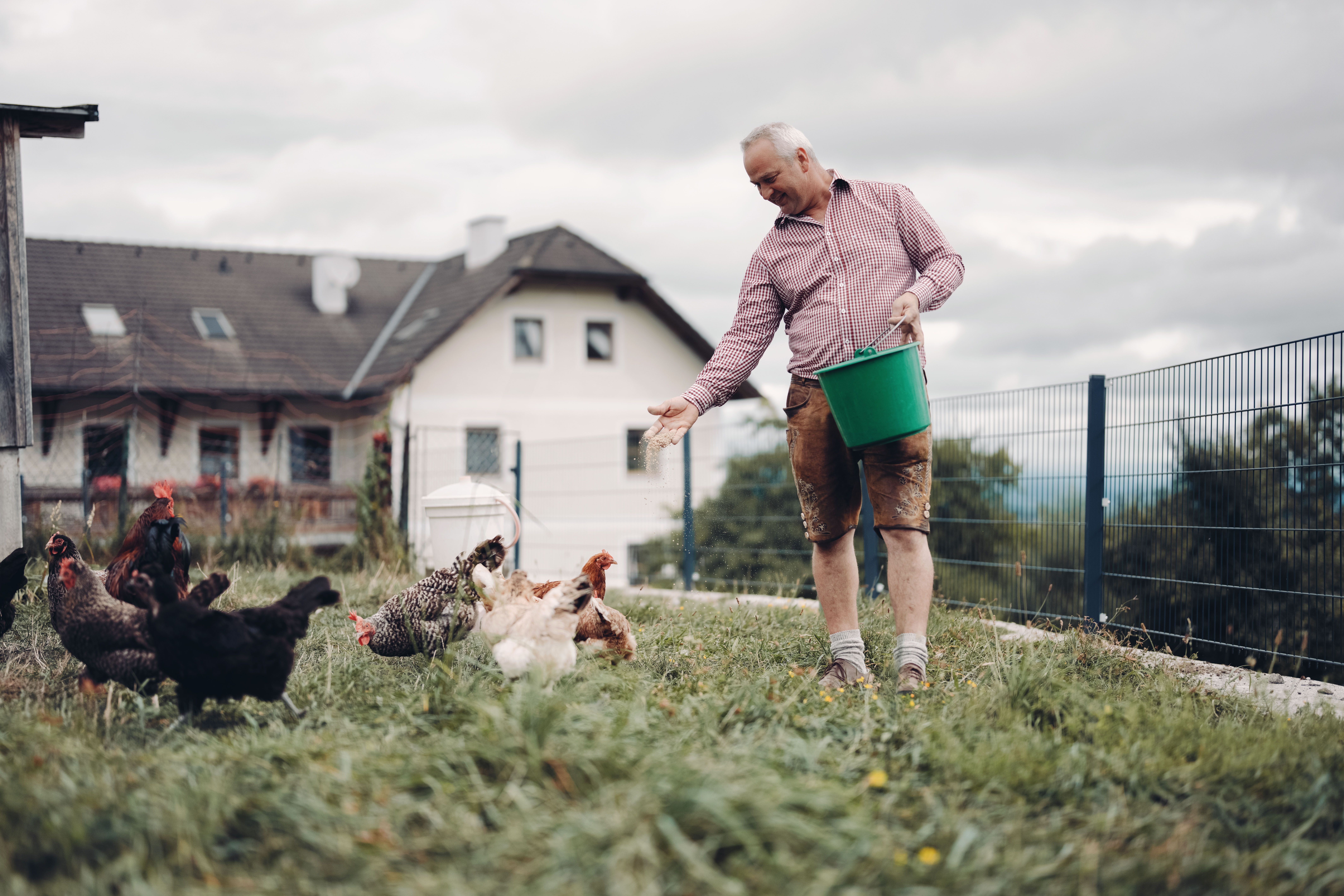 Mostheuriger Resch am Hörlesberg