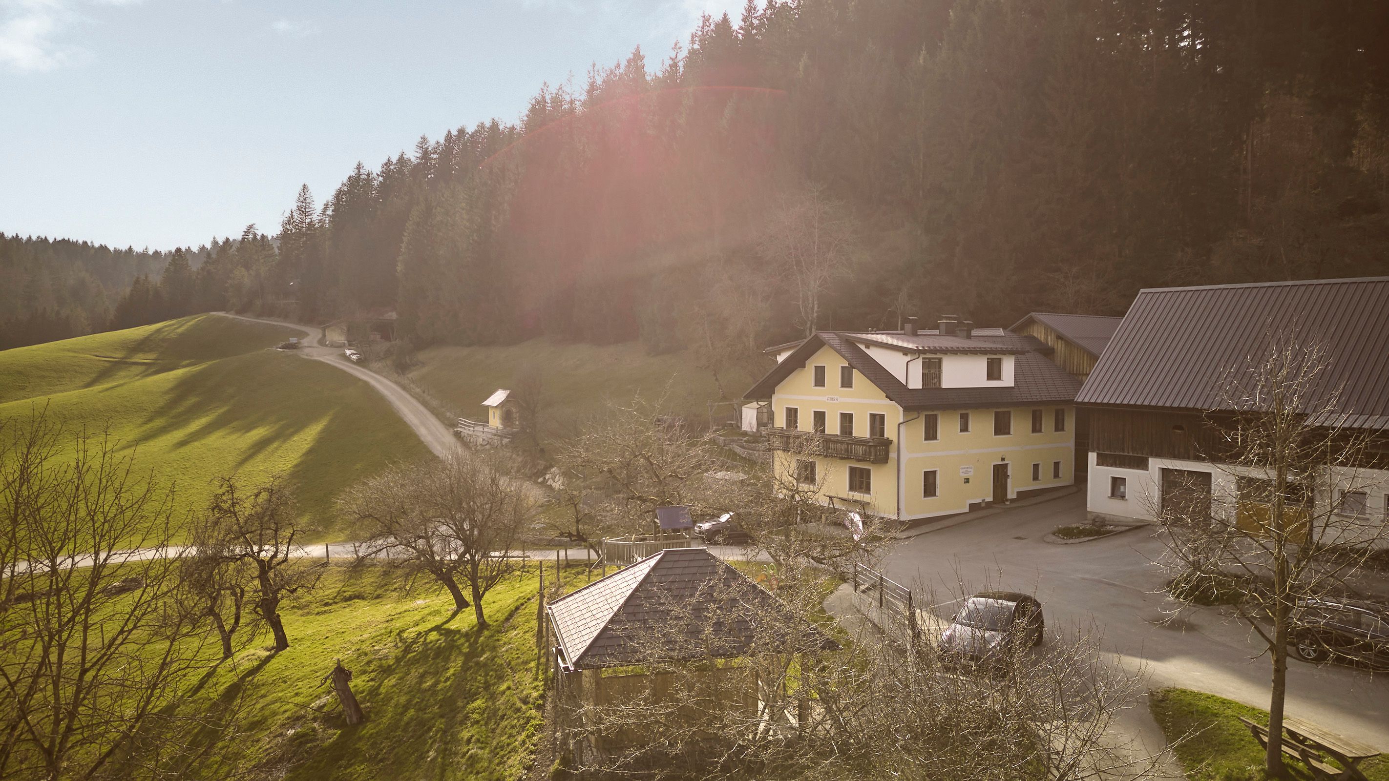 Ein Bauernhof in einer ländlichen Umgebung mit grünen Wiesen und einem Wald im Hintergrund.