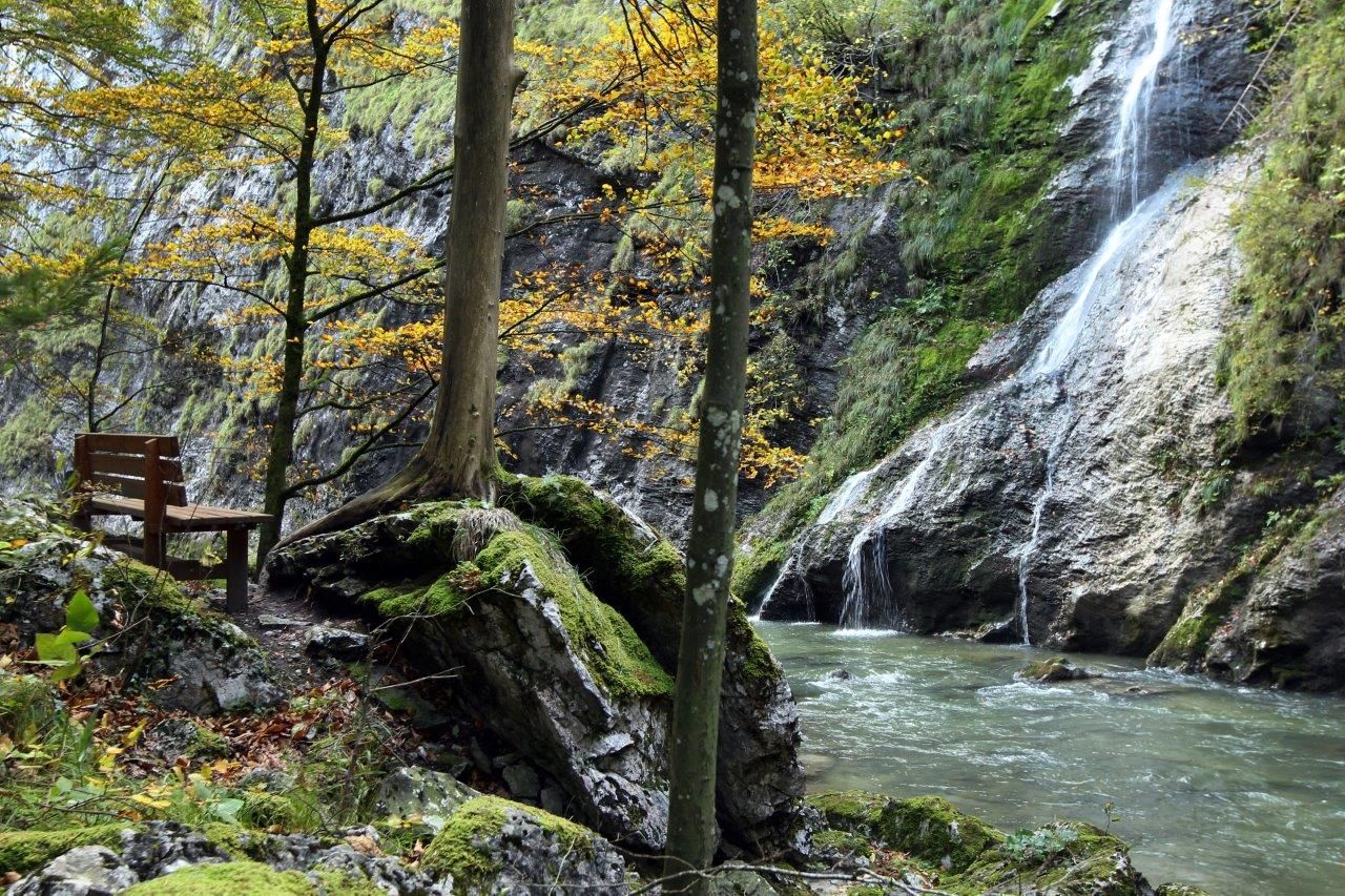 Bank am Fluss im Naturpark Ötscher Tormäuer mit Wasserfall und herbstlichen Bäumen.