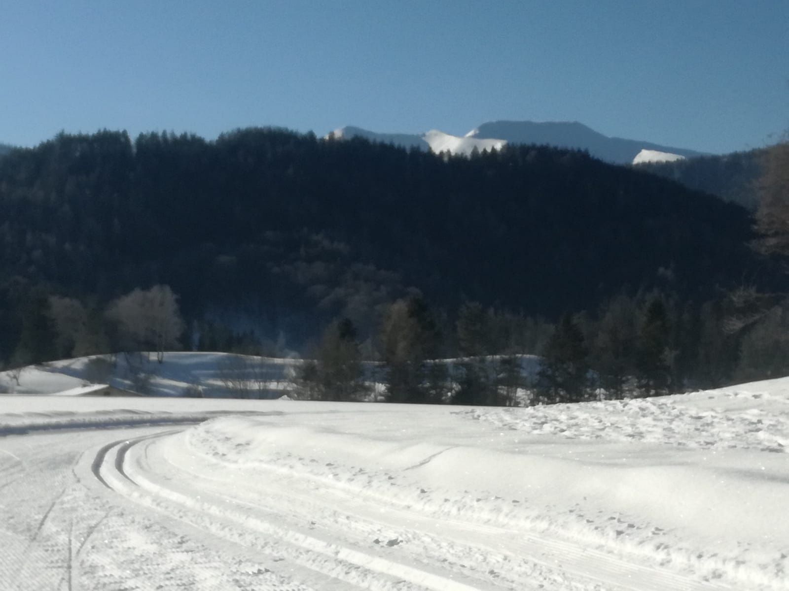 PANORMALOIPEN  - 2/2 Scheiklloipe
