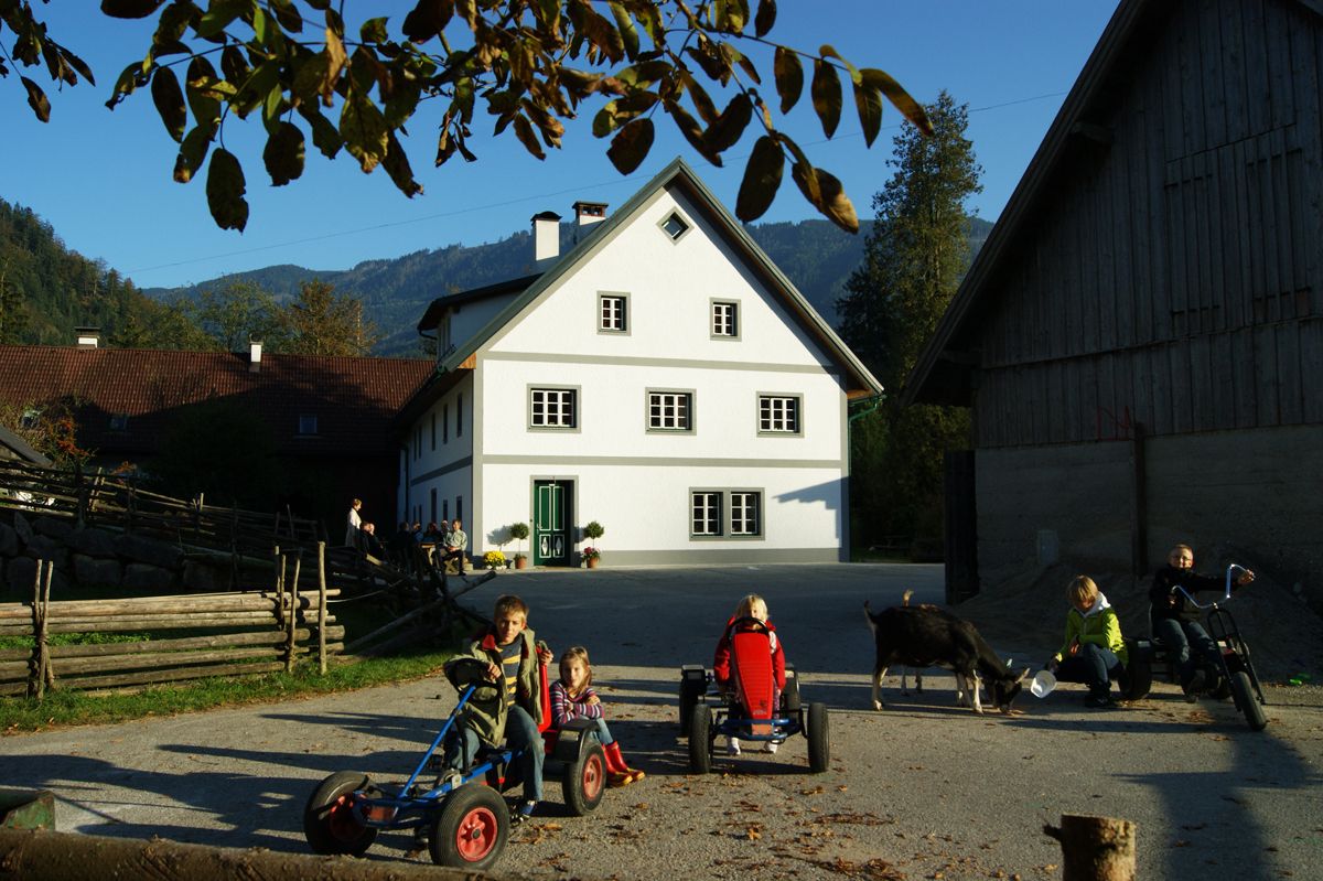 Kinder spielen auf einem Bauernhof mit Kettcars und einer Ziege im Vordergrund.