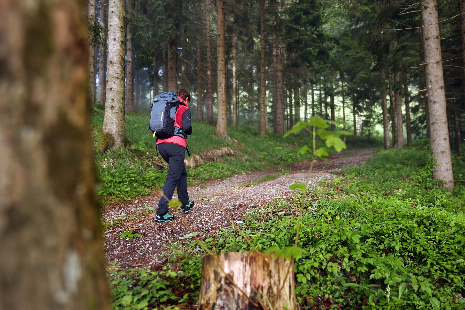 Pilgerin wandert auf Waldweg im Mostviertel.