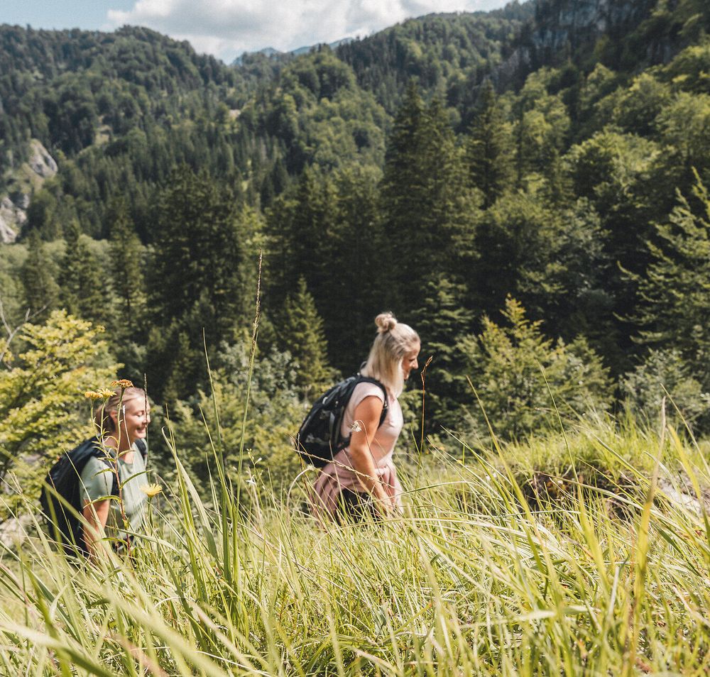 Dürrenstein Wilderness Area