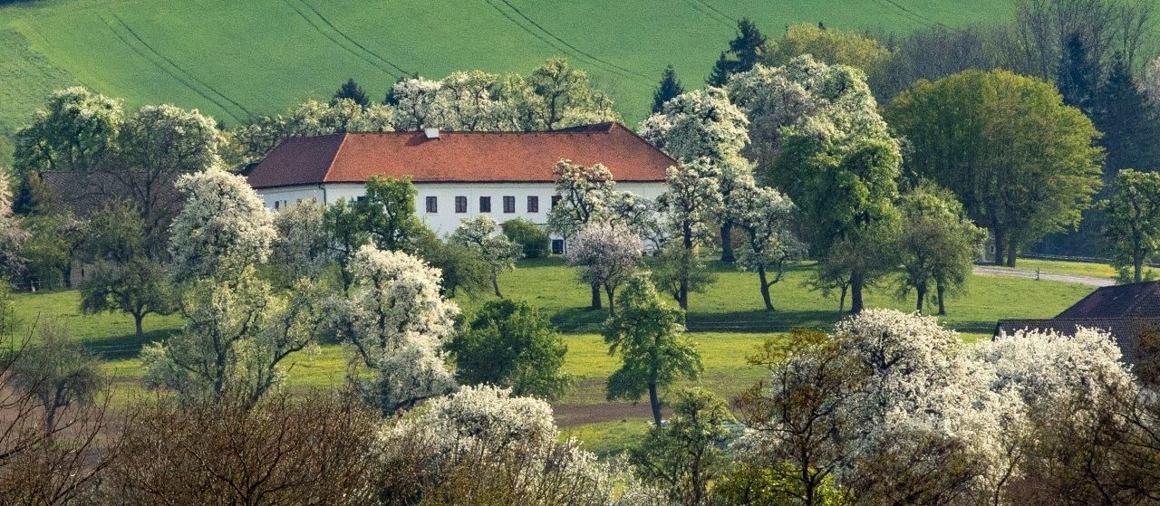 Fotopunkt mit Drohne