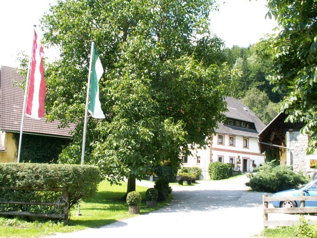 Ein traditionelles Bauernhaus mit Garten und Fahnen im Vordergrund.