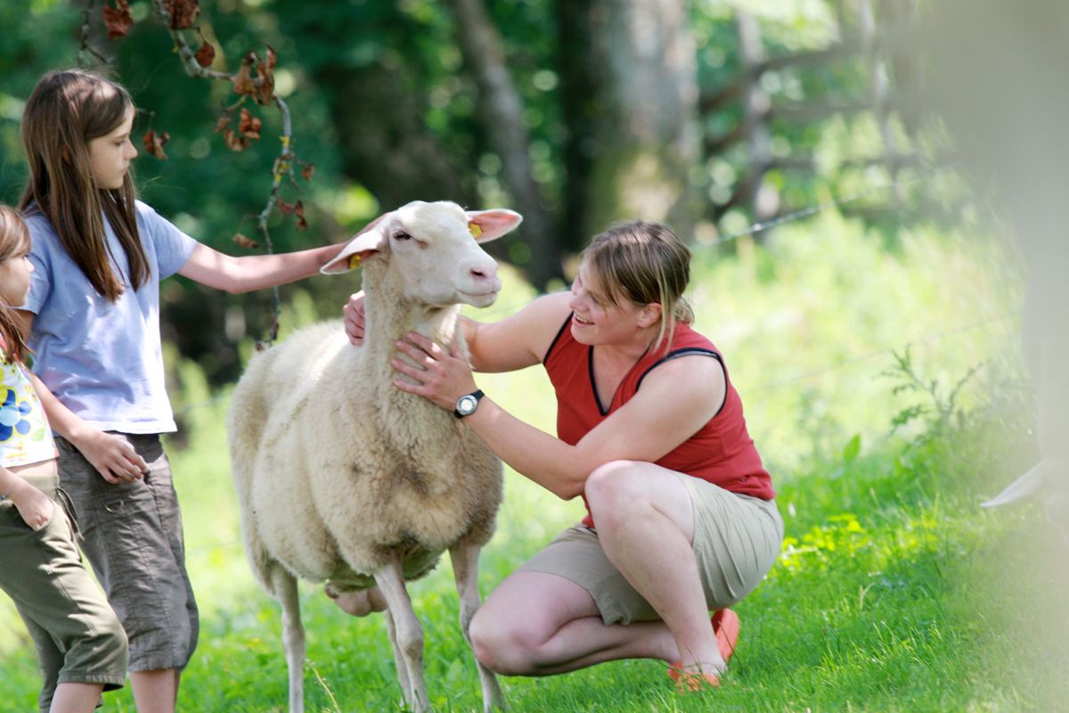 Eine Frau und zwei Kinder streicheln ein Schaf auf einer Wiese.