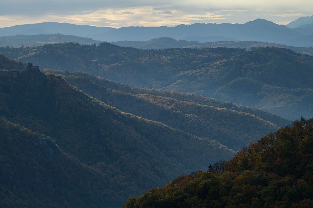 Aufnahme der hügeligen Waldlandschaft im Dunkelsteinerwald