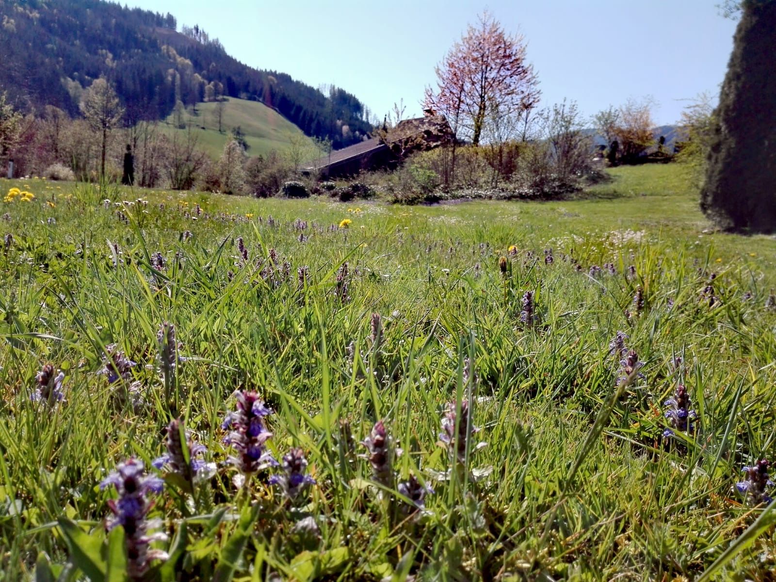 Ferienhäuser Kogelsbach