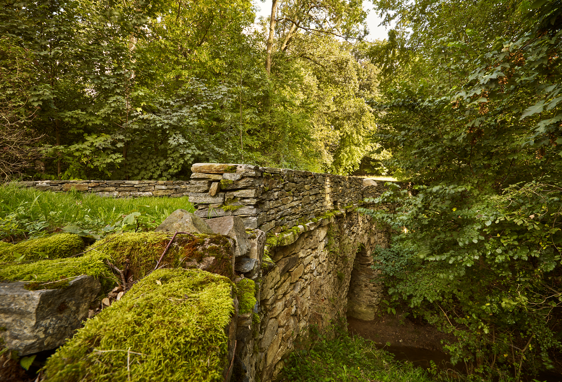 Inmitten des üppigen Grüns des Dunkelsteinerwaldes erstreckt sich eine alte Steinbrücke, die von sanften Sonnenstrahlen beleuchtet wird. Moos und Pflanzen umrahmen die Brücke und verleihen der Szenerie eine magische Atmosphäre, die zum Verweilen einlädt.