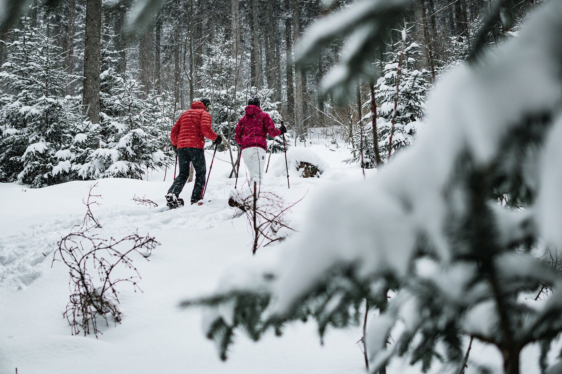 In der winterlichen Stille der Ybbstaler Alpen erkunden zwei Schneeschuhwanderer die unberührte Natur. Der glitzernde Schnee unter ihren Füßen und die schneebedeckten Bäume schaffen eine magische Atmosphäre, die zum Verweilen einlädt.