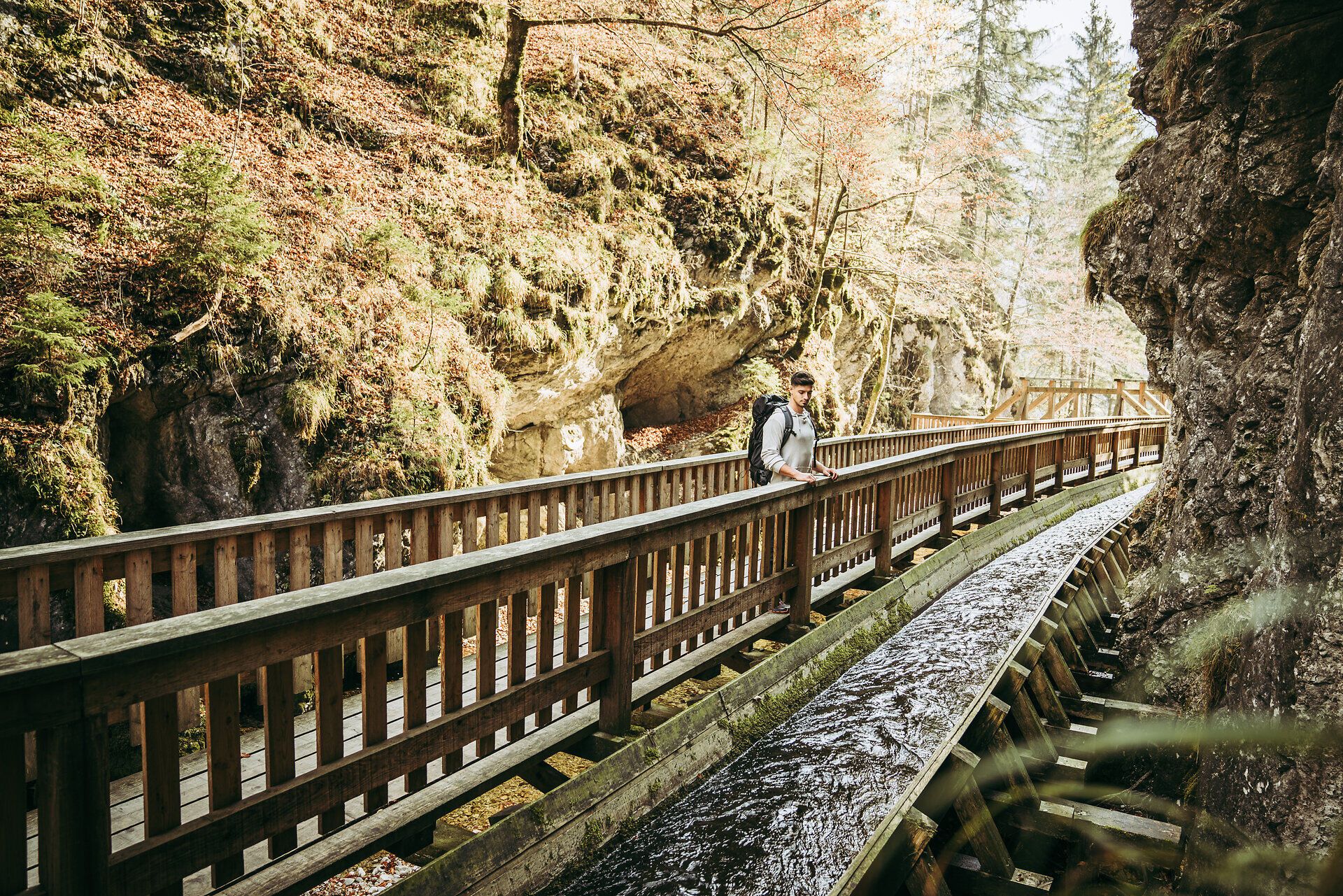 Ein malerischer Holzsteg schlängelt sich durch die sanften Hügel des Mendlingtals, umgeben von üppigem Grün und dem sanften Plätschern des Wassers. Die warmen Sonnenstrahlen durchdringen das Blätterdach und schaffen eine einladende Atmosphäre für Wanderer, die die Schönheit der Natur genießen möchten.