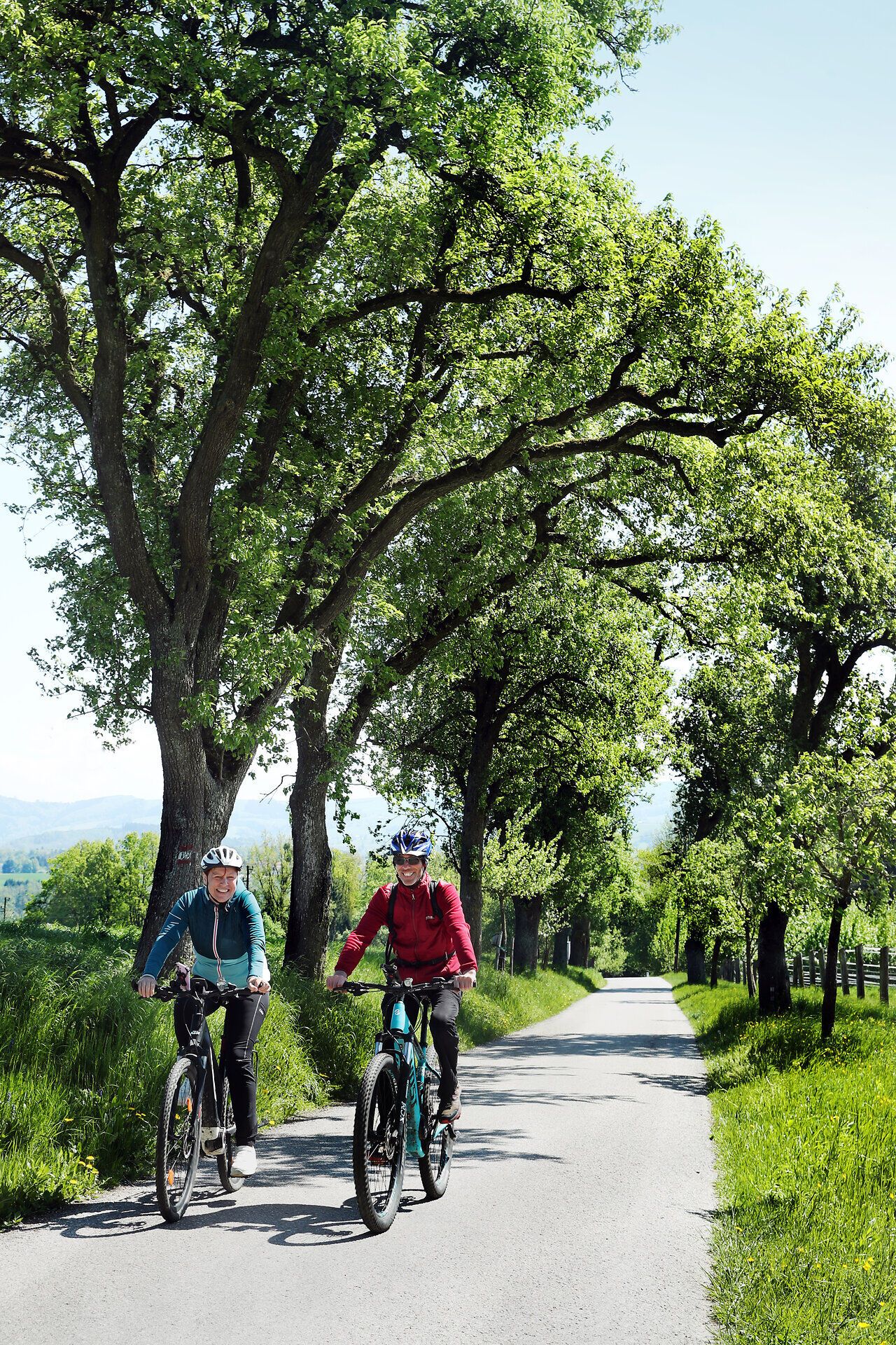 Die sanften Hügel des Mostviertels laden zu einer erfrischenden Radtour ein, während die Birnbäume in voller Blüte stehen. Die frische Luft und das sanfte Rauschen der Blätter schaffen eine harmonische Atmosphäre, perfekt für einen Tag voller Genuss und Erholung.