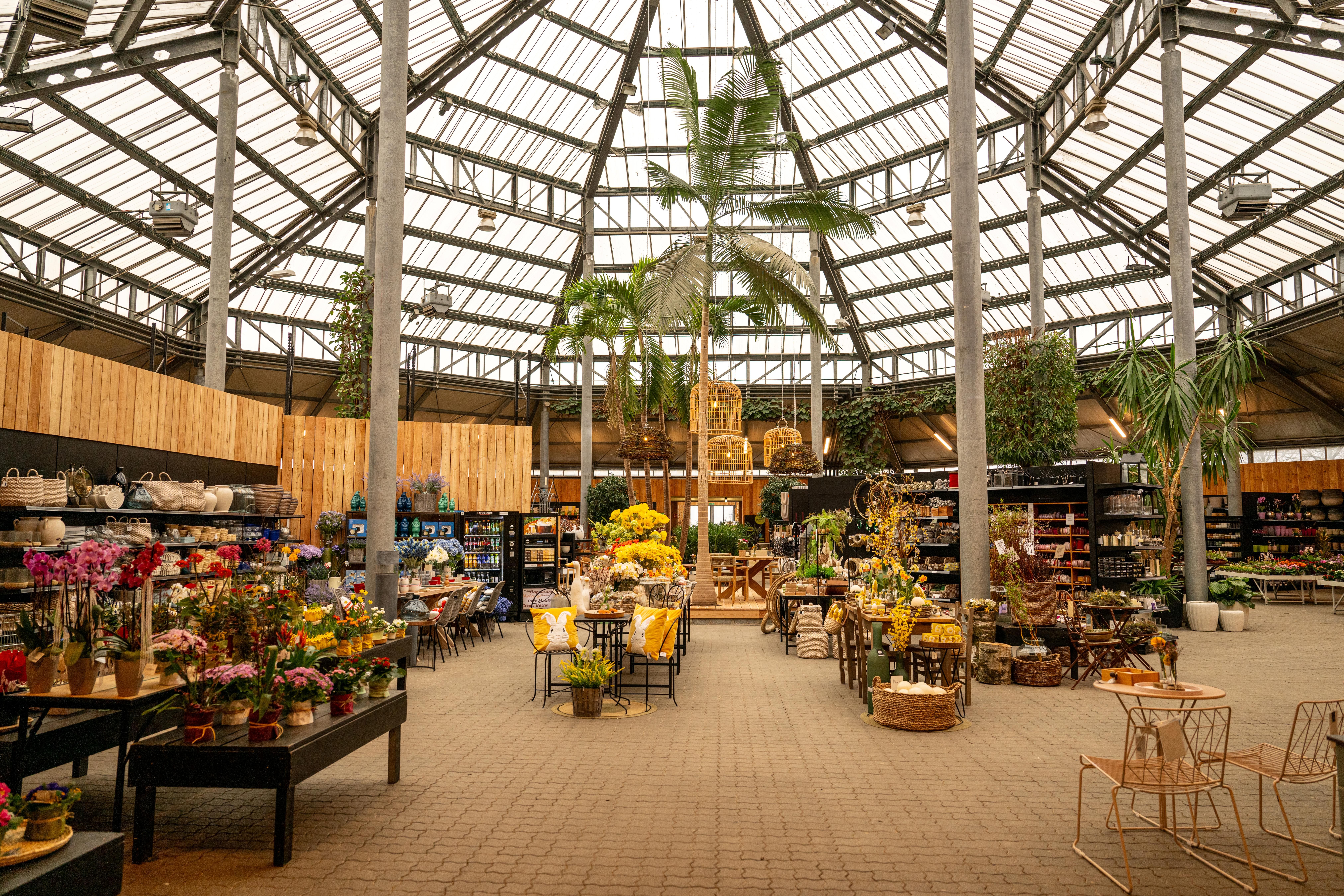 Palmenhaus
